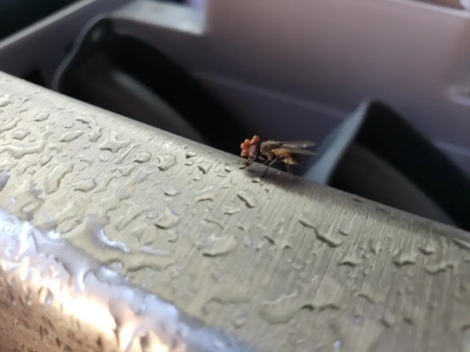 Image credit: Reddit | TheSpiderLady88
