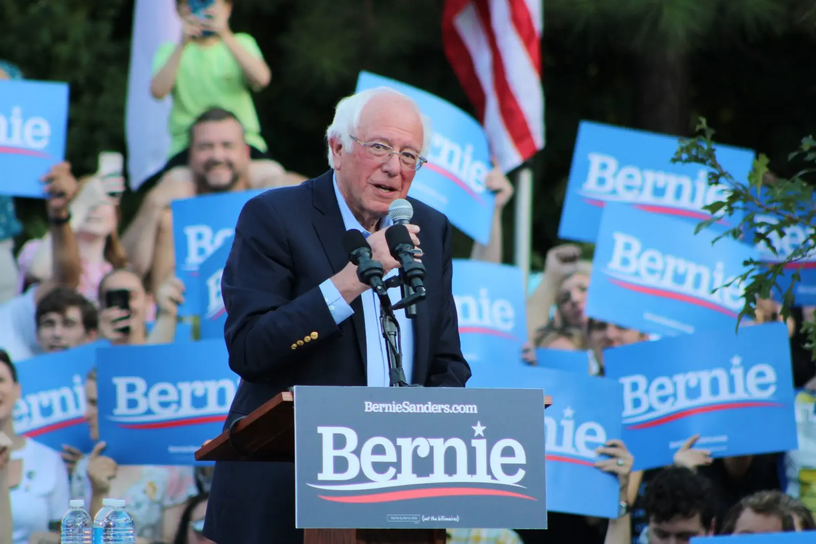 Image credit: https://diplycom5cc47.zapwp.com/q:i/r:0/wp:1/w:1/u:https://commons.wikimedia.org/wiki/File:Bernie_Sanders_Smiling_from_Side_View.jpg