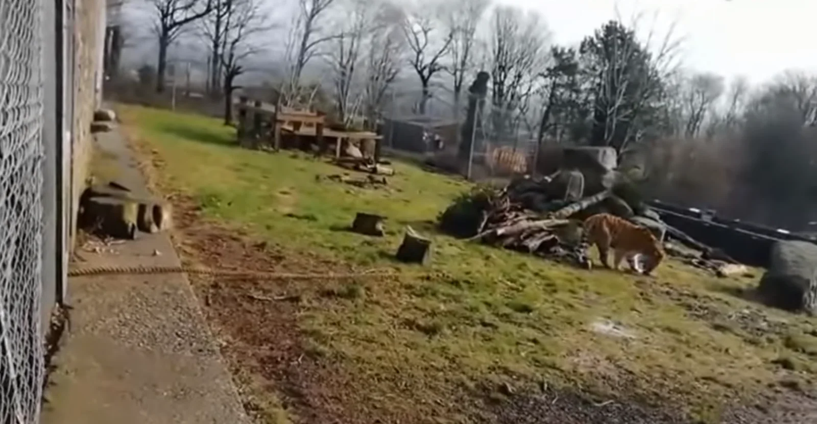 Image credit: YouTube | daily news