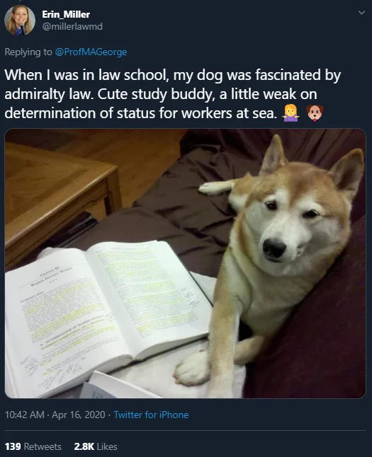 Image credit: Twitter | @millerlawmd
