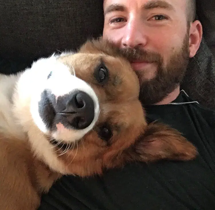 Image credit: Instagram | @chrisevans