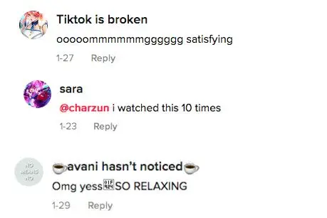 Image credit: TikTok | @pezzottipainting