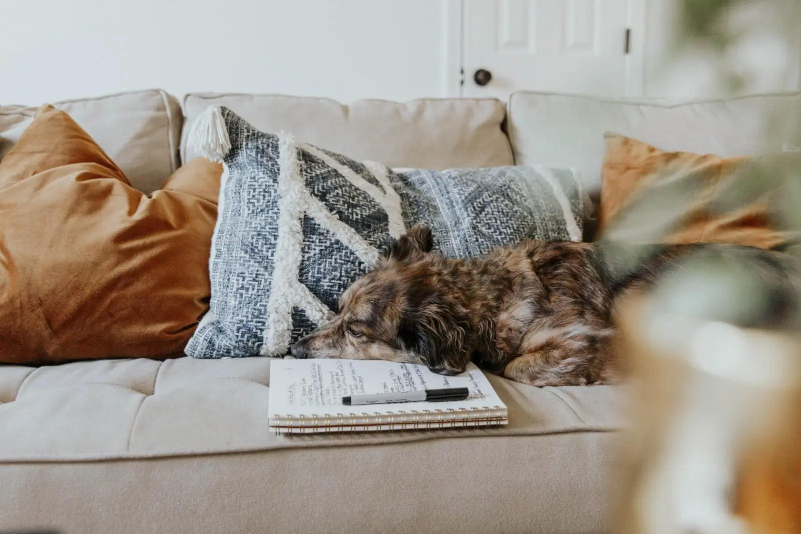 Image credit: Unsplash | Corinne Kutz