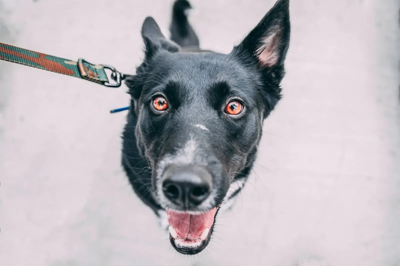 Image credit: Unsplash | Tucker Good