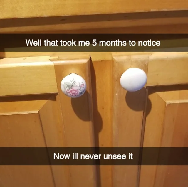 Image credit: Reddit