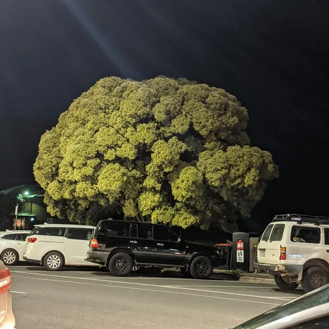 Image credit: Reddit | ZackTheLampGod