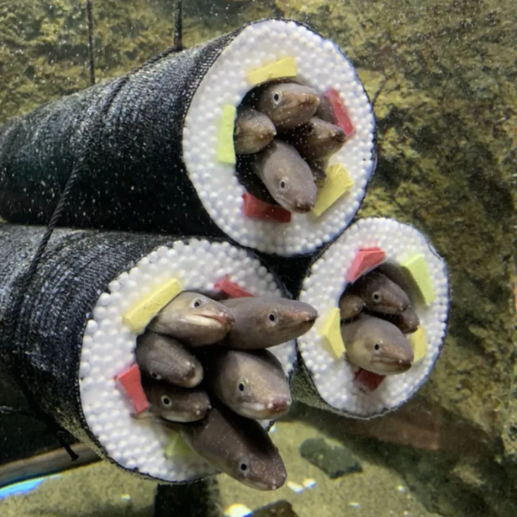 Image credit: Reddit | DefinitleyNot203Eels