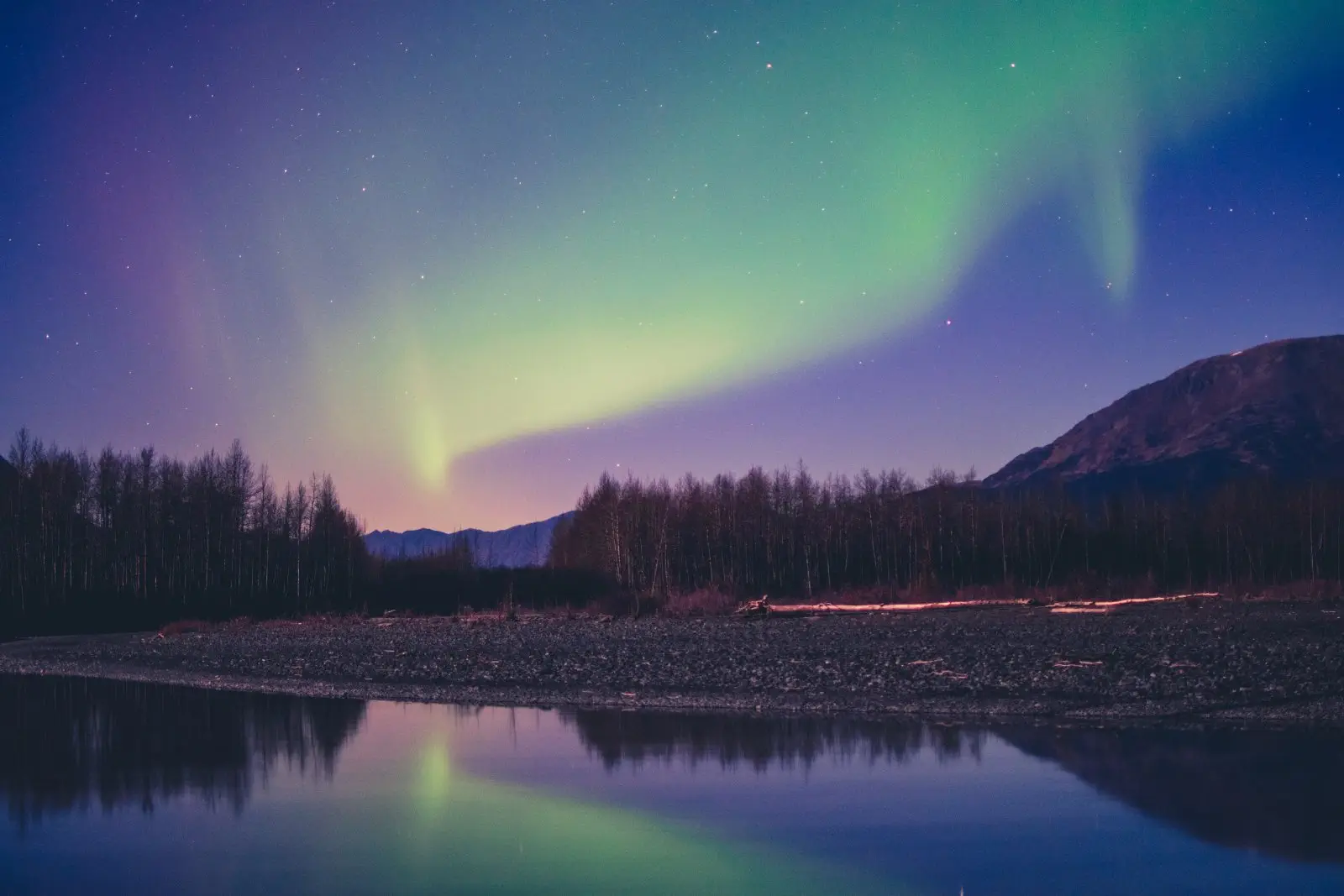 Image credit: Unsplash | McKayla Crump