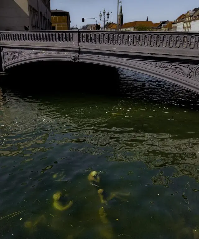 Image credit: Reddit |strange_creature