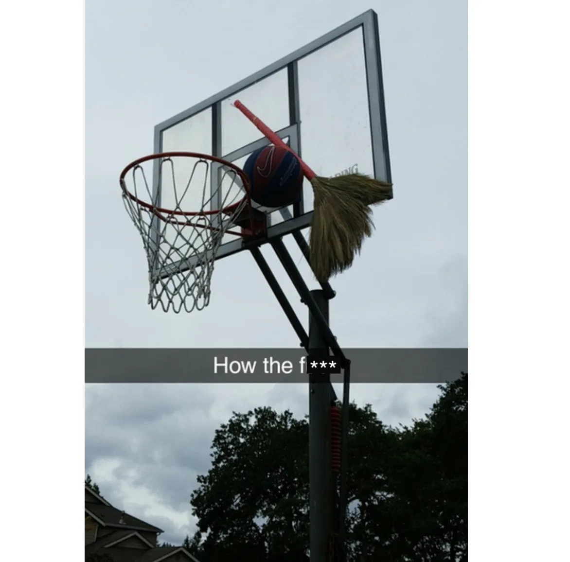 Image credit: Reddit | istarxh