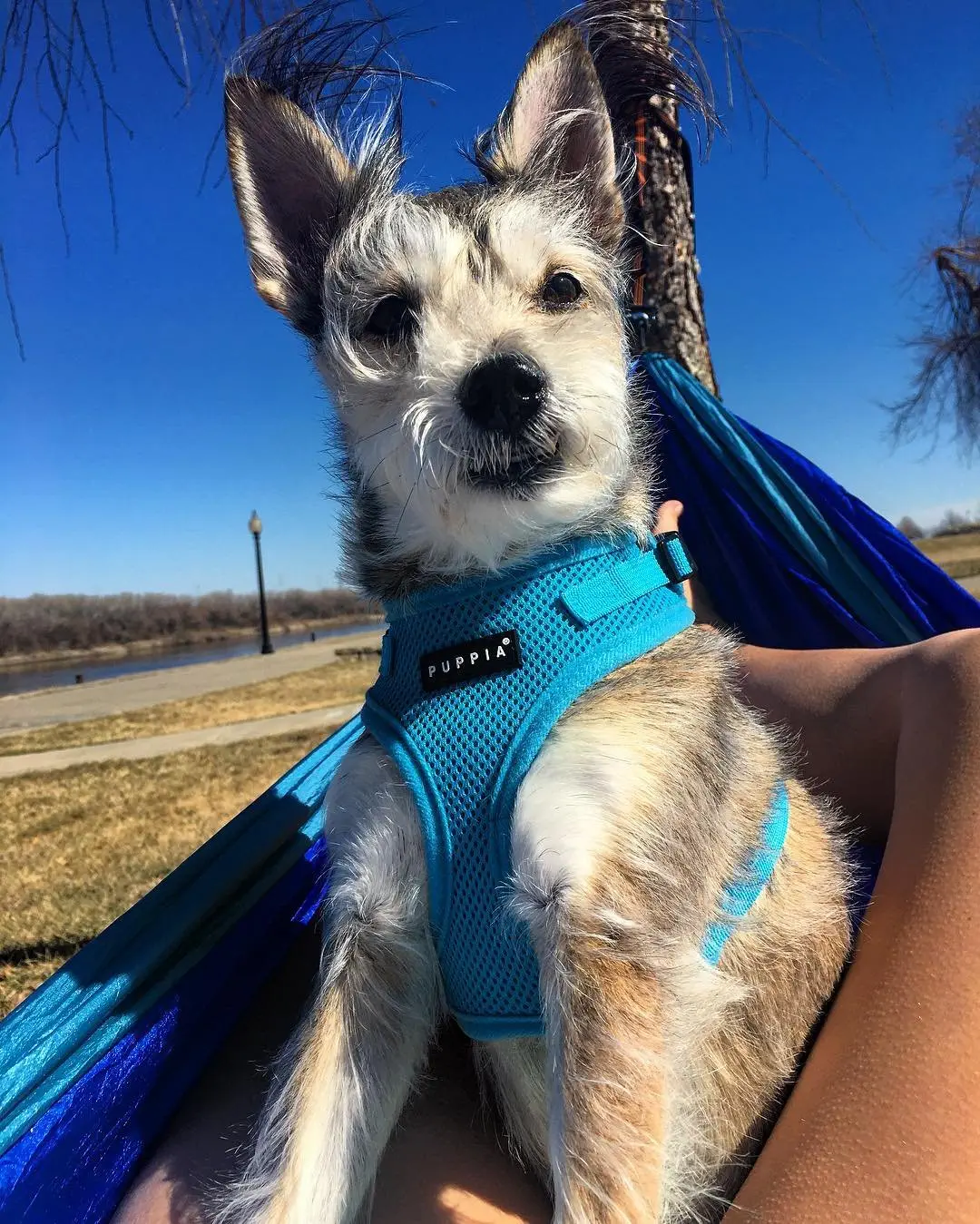 Image credit: Instagram | @holdon2yerbutts