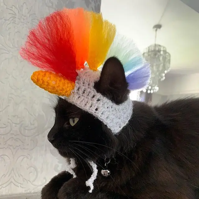 Image credit: Etsy | PawsomeCrochet