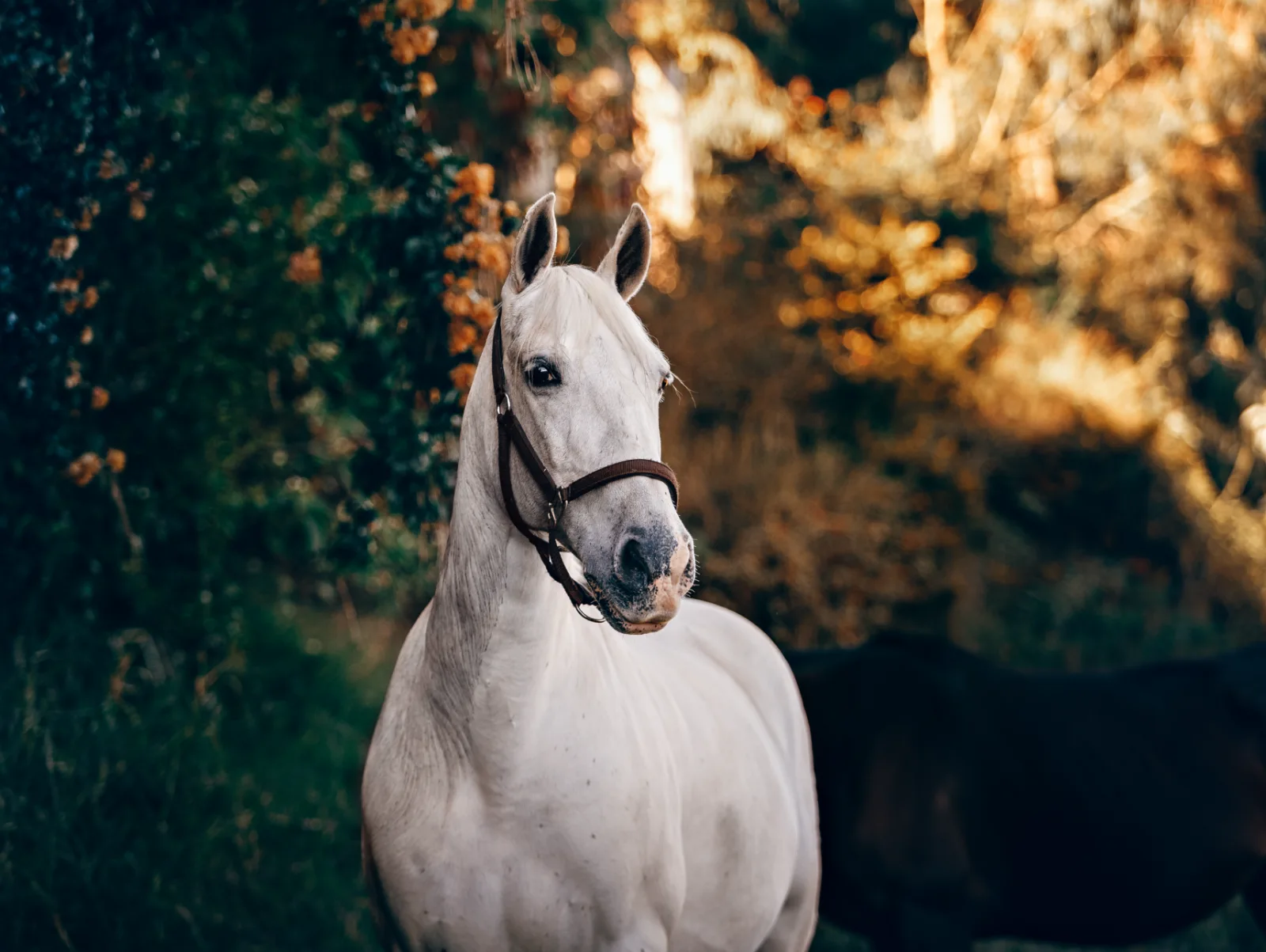 Image credit: Unsplash | Helena Lopes