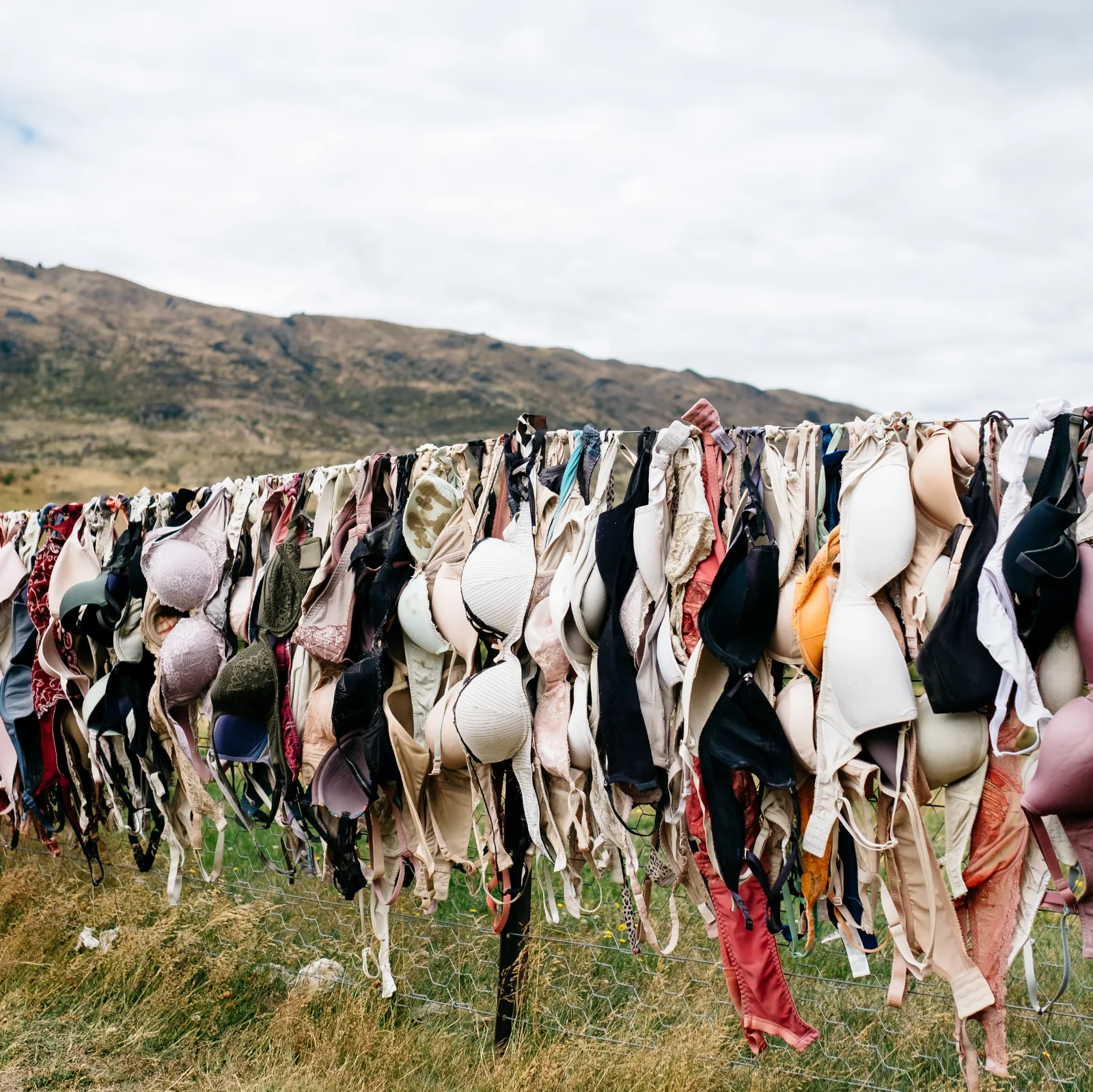 Image credit: Unsplash | Pablo Heimplatz