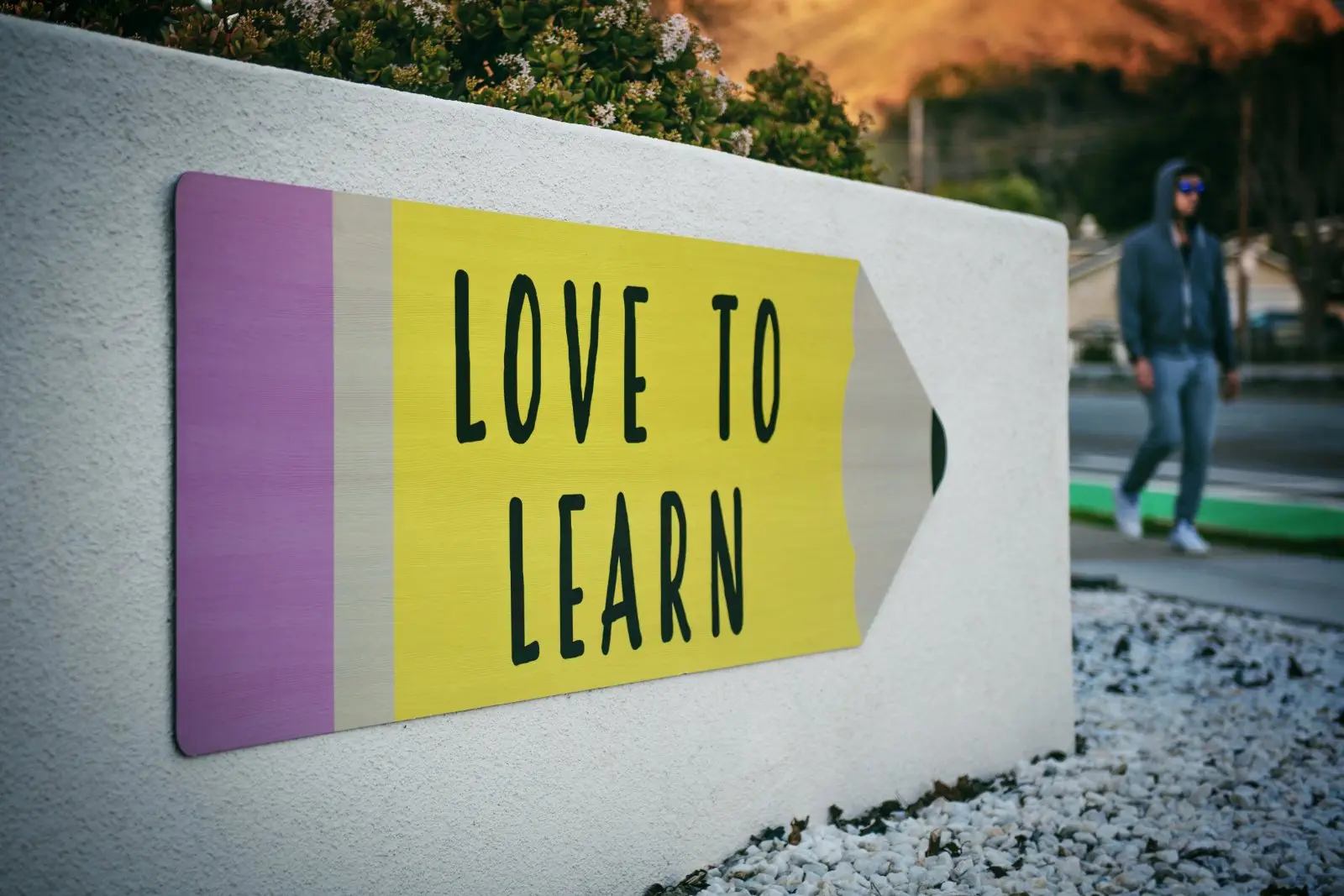 Image credit: Unsplash | Tim Mossholder