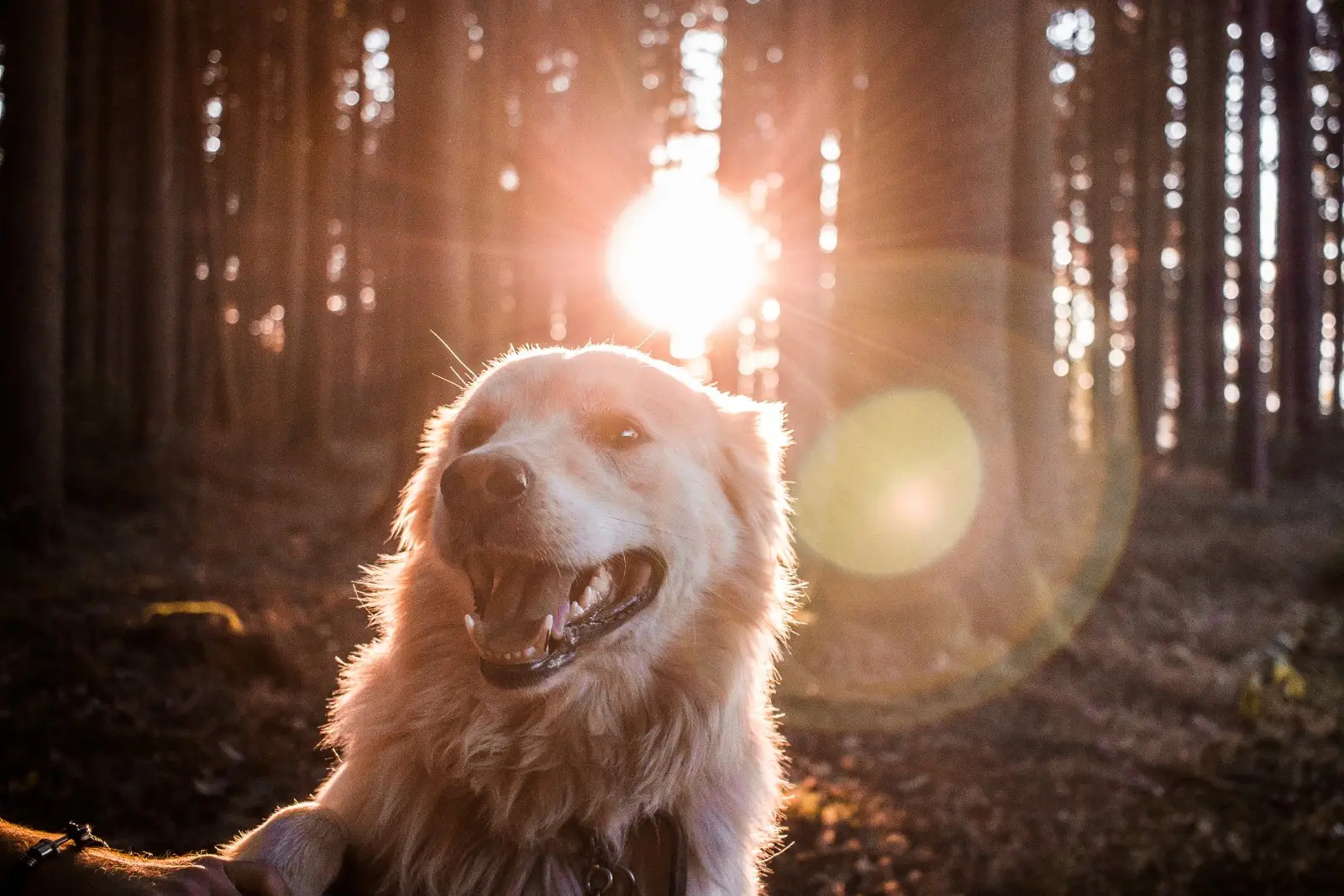 Image credit: Unsplash | Andreas Wagner