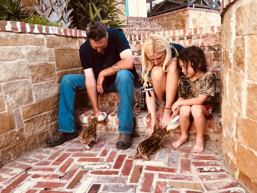 Image credit: Instagram | @gwenstefani