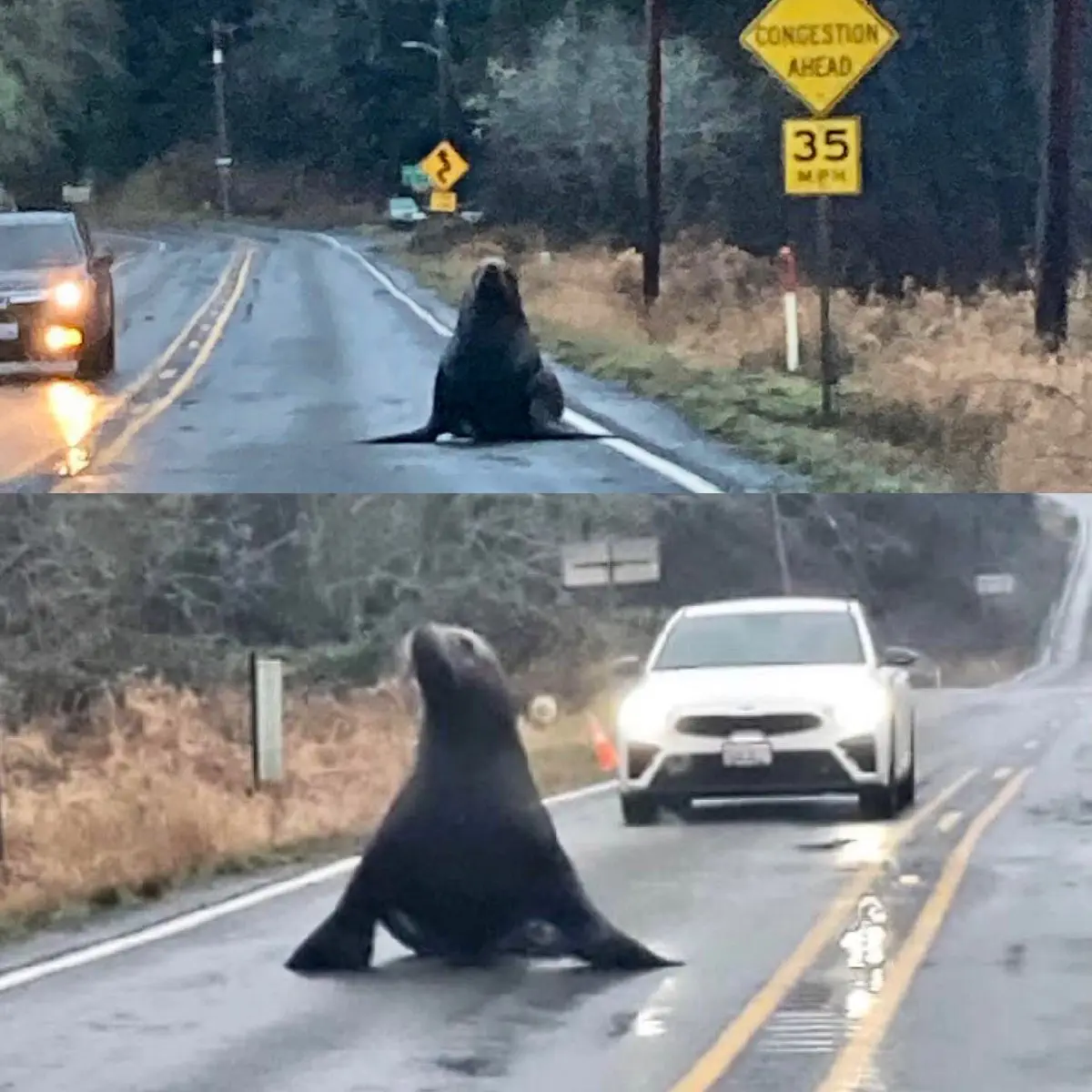 Image credit: Twitter | @wspd8pio