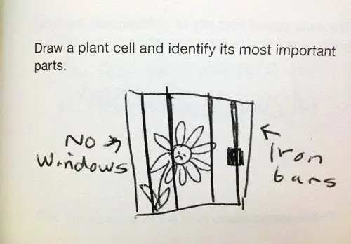 Image credit: Imgur | loominaty42069