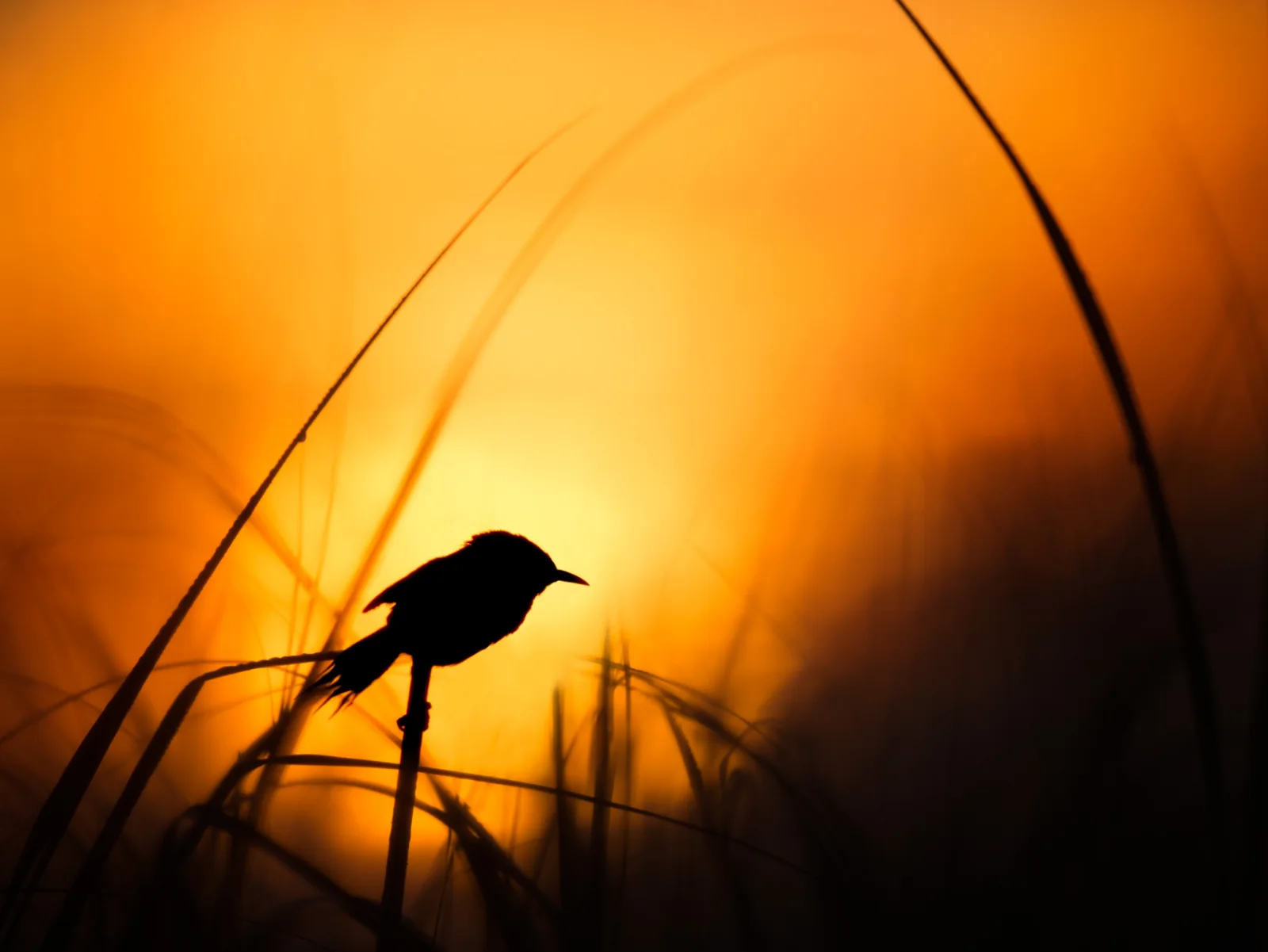 Image credit: Unsplash | Ray Hennessy
