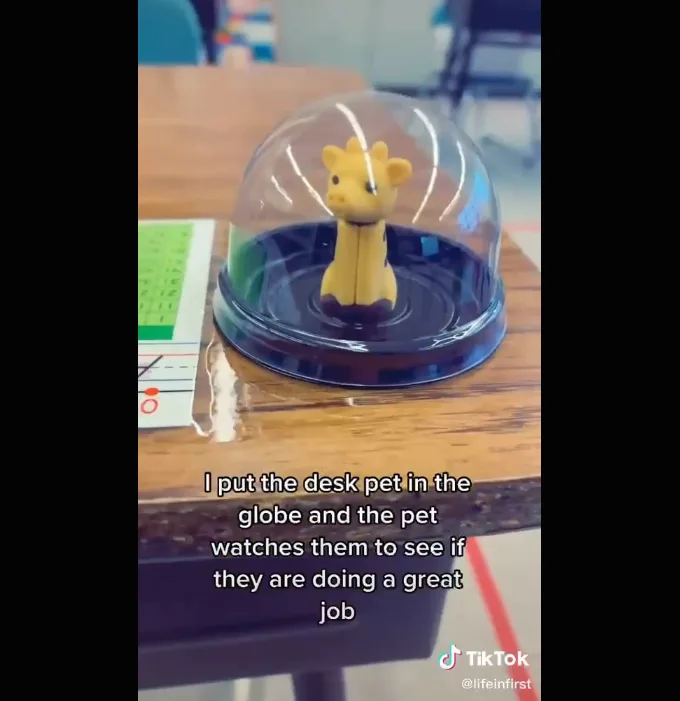 Image credit: TikTok | @lifeinfirst
