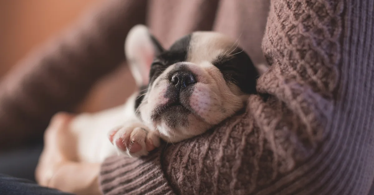 Image credit: freestocks on Unsplash