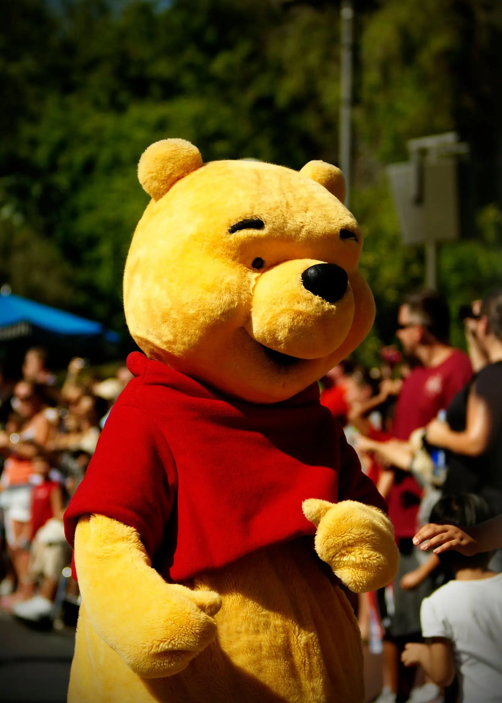 Image credit: https://diplycom5cc47.zapwp.com/q:i/r:0/wp:1/w:1/u:https://commons.wikimedia.org/wiki/File:Winnie_the_Pooh_Costume.jpg