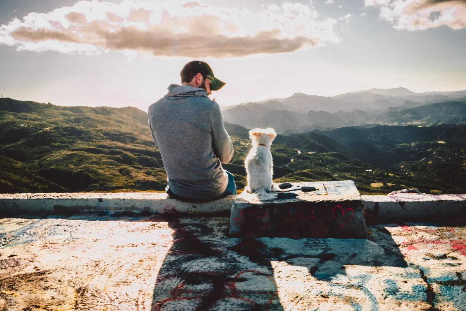 Image credit: Unsplash | Xan Griffin