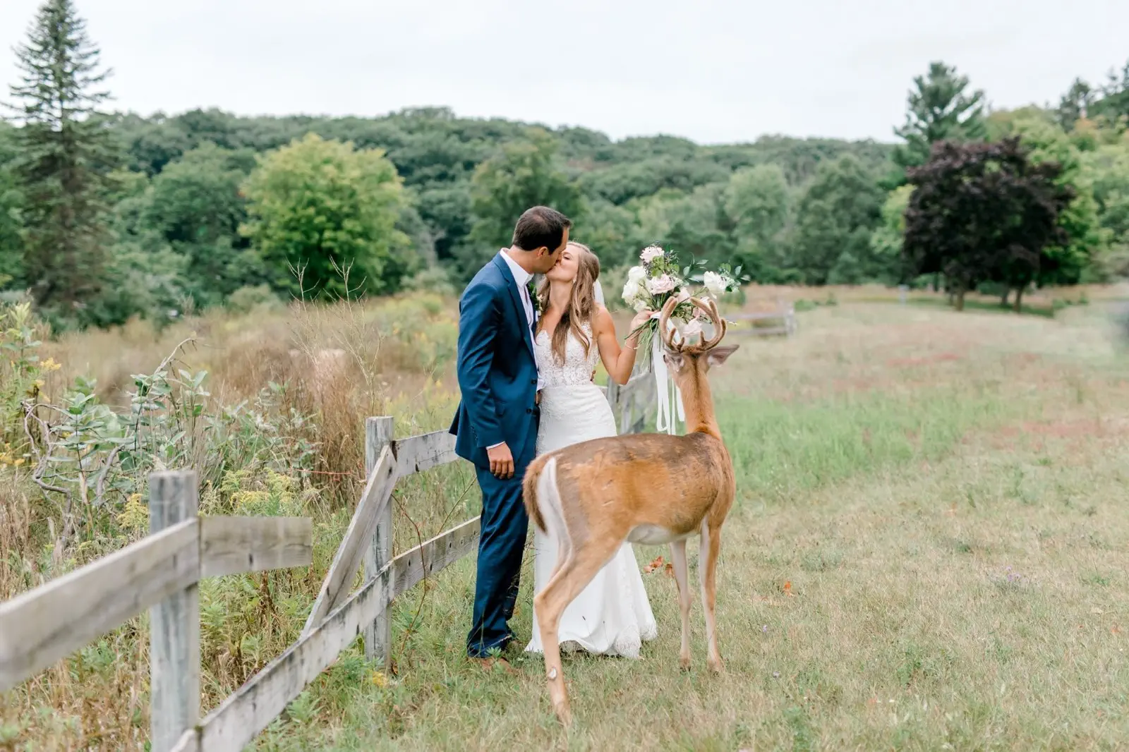 Image credit: Facebook | Laurenda Marie Photography