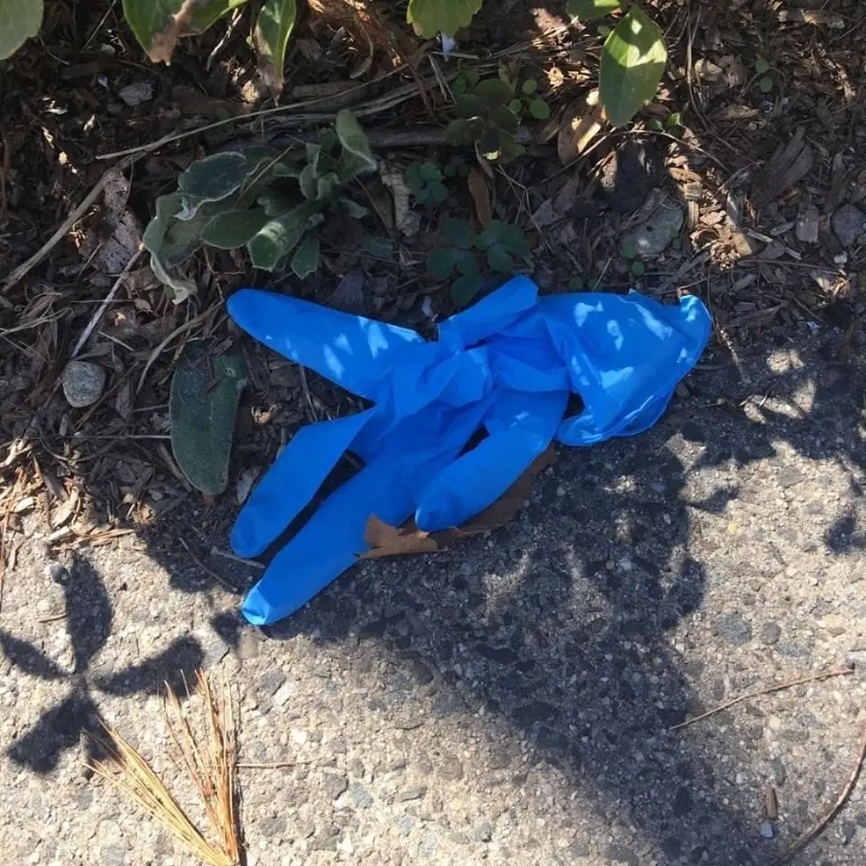 Image credit: Facebook | Keep Brevard Beautiful