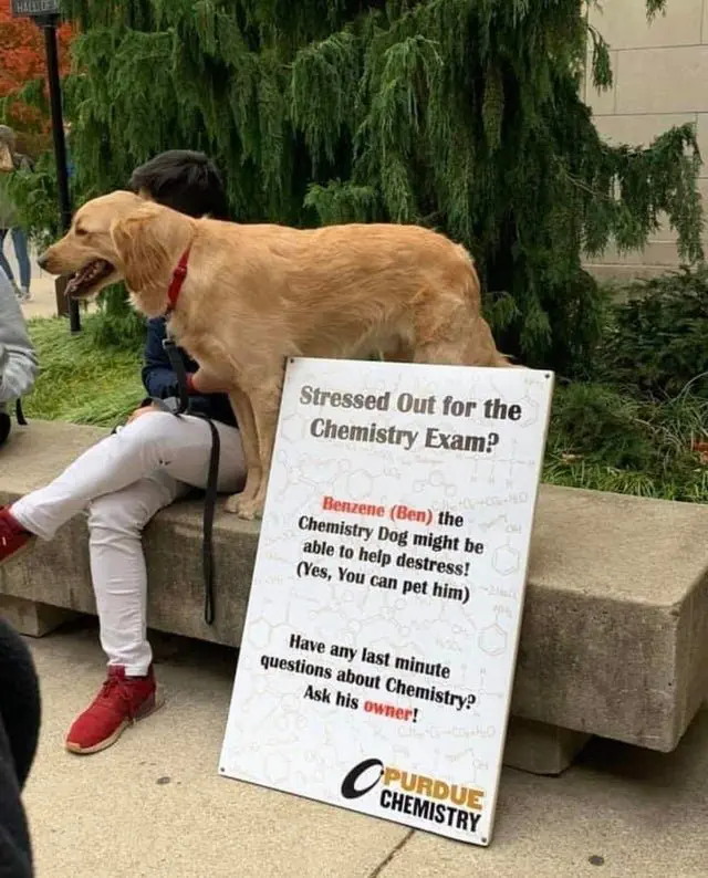 Image credit: Reddit | HorseBoxGuy