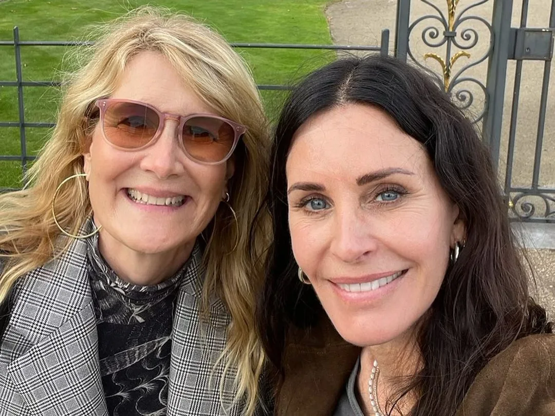 Image credit: Instagram | @lauradern