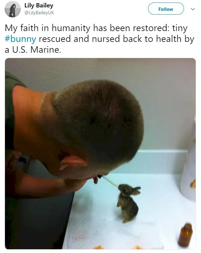 Image credit: Twitter | @LilyBaileyUK