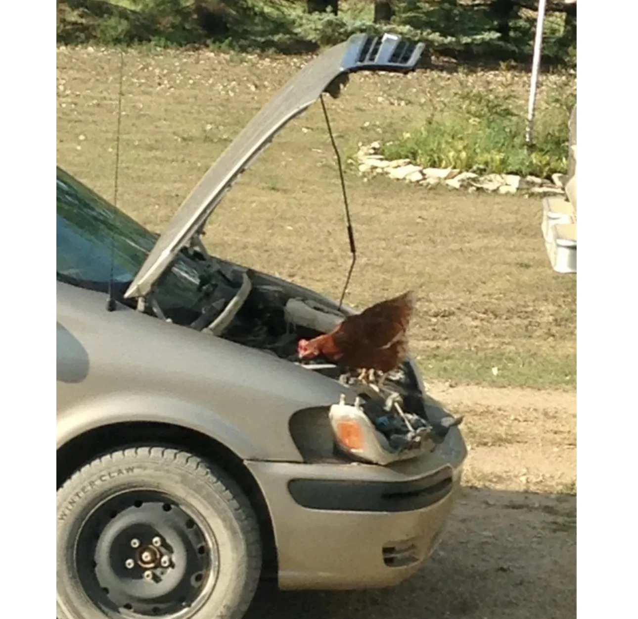 Image credit: Reddit | Joezze