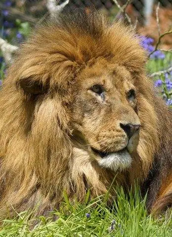 Image credit: Facebook | Dartmoor Zoological Park