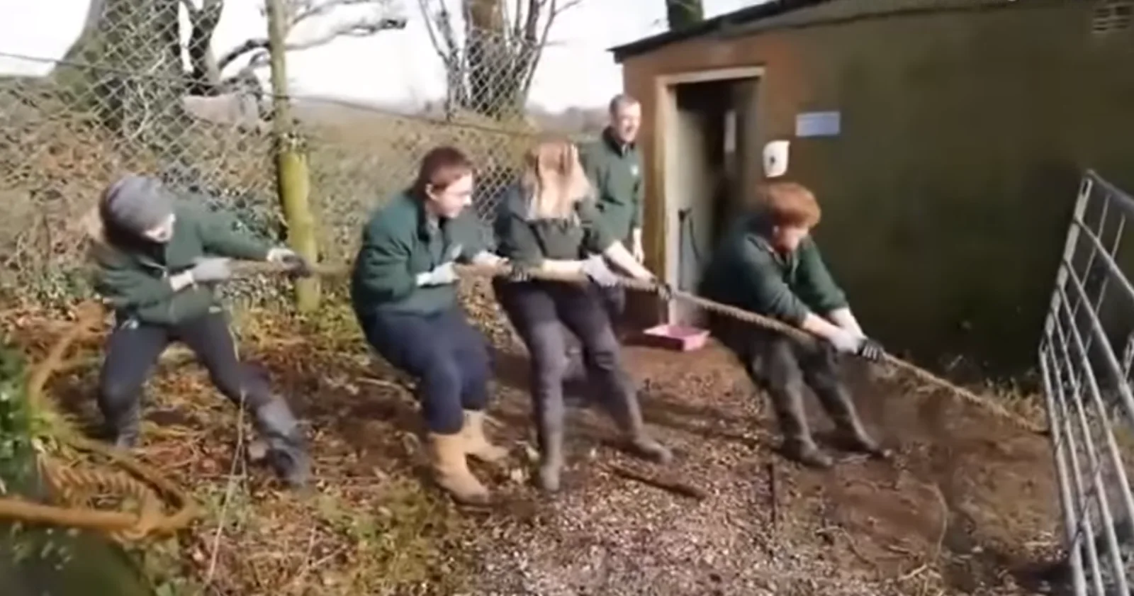 Image credit: YouTube | daily news