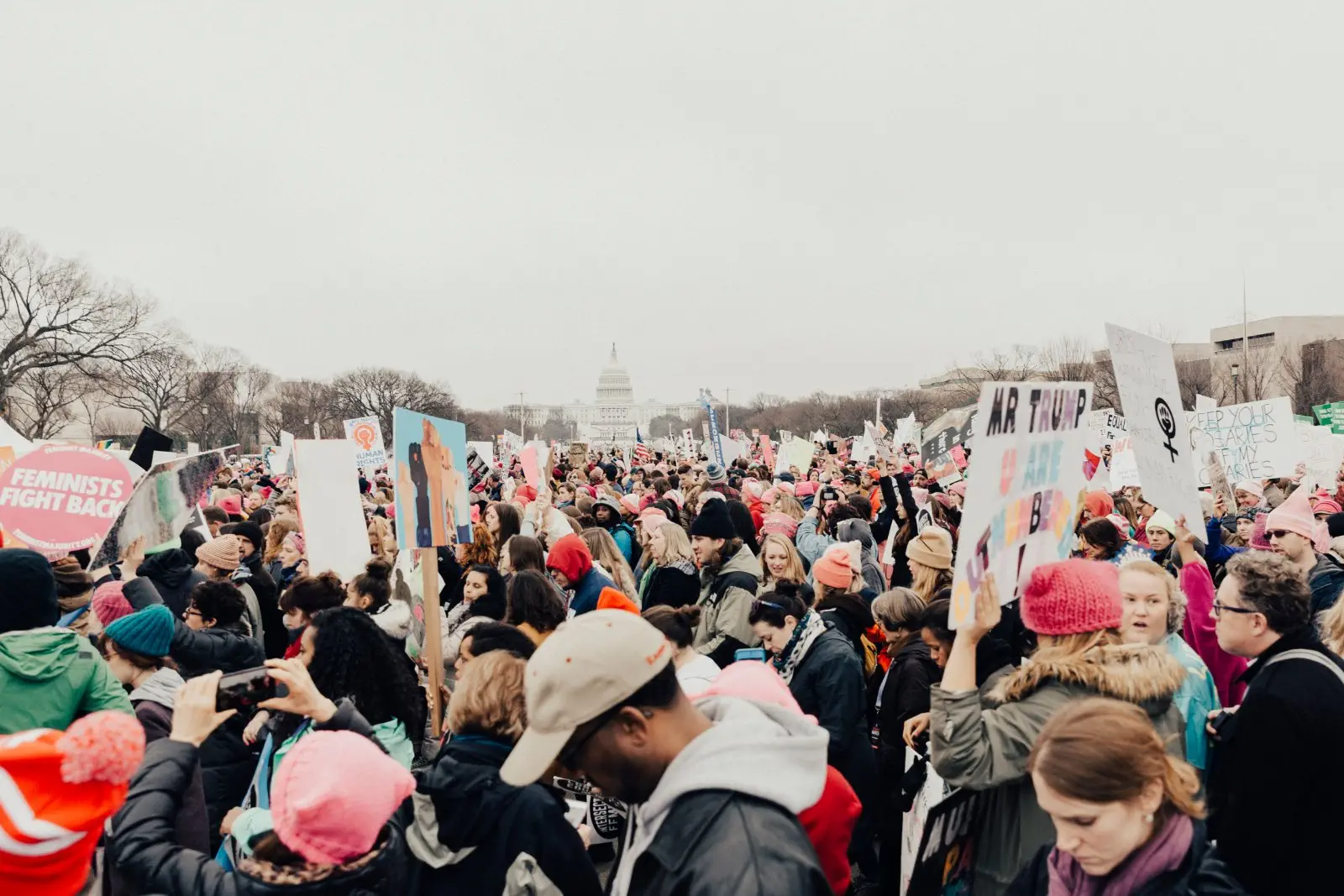 Image credit: Unsplash | roya ann miller