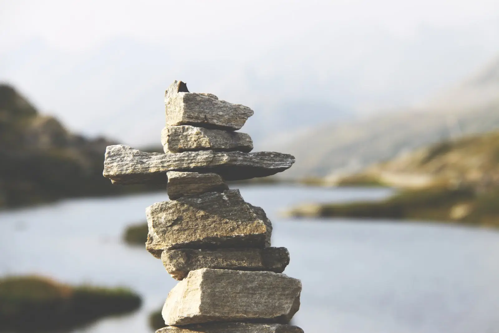 Image credit: Unsplash | Lisa Zoe
