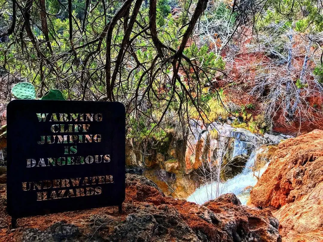Image credit: Instagram | @sunflow3r_dreamin