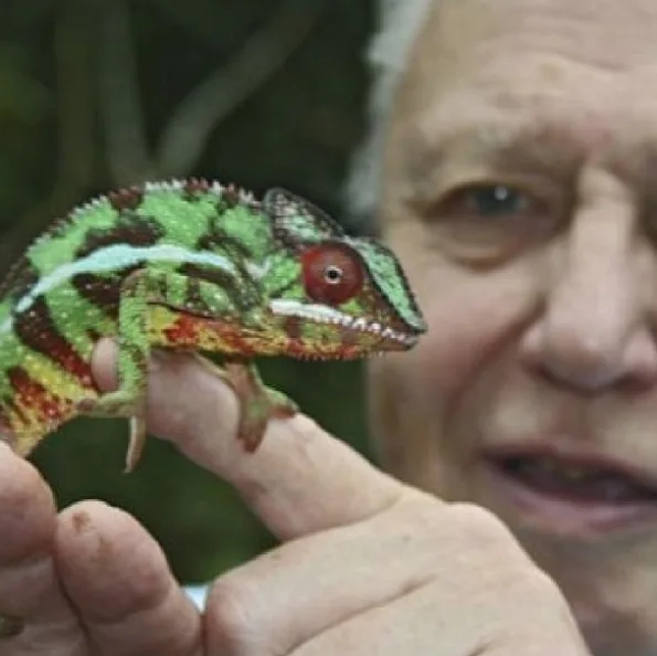 Image credit: Instagram | david_attenborough