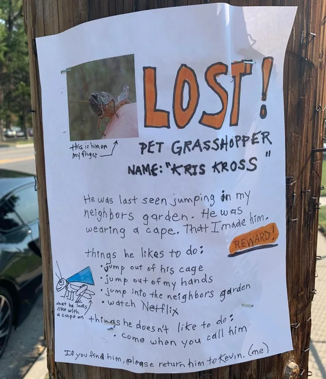 Image credit: Reddit | dudefromslc