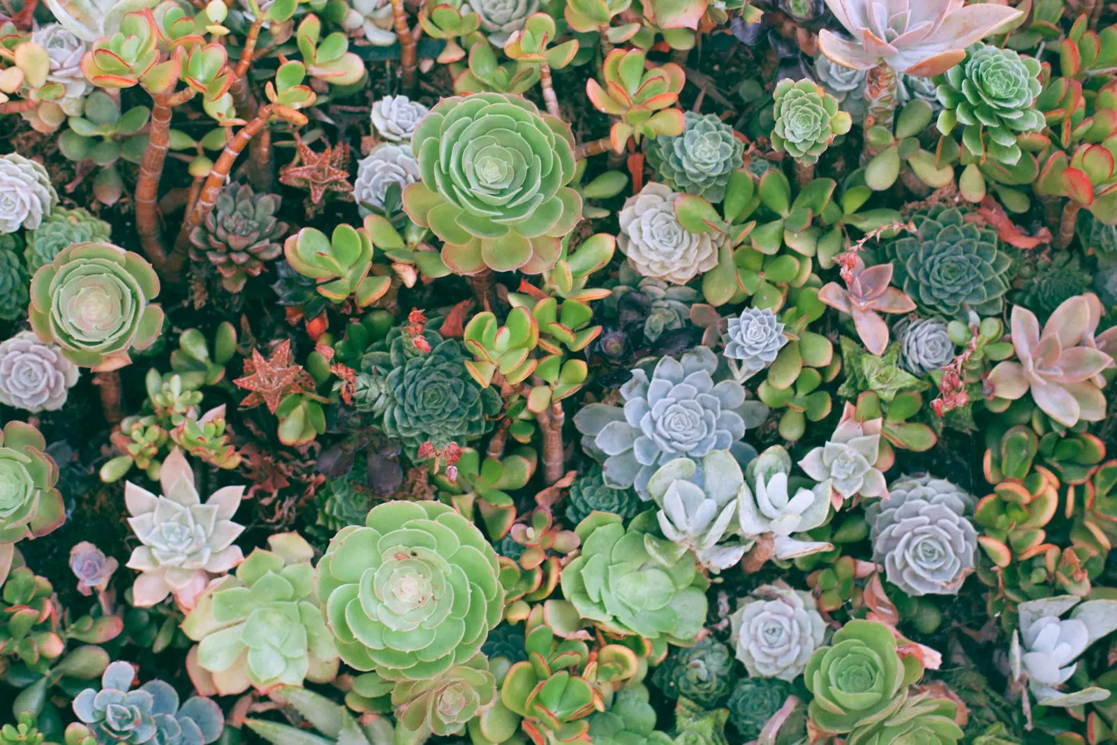Image credit: Unsplash | Orlova Maria