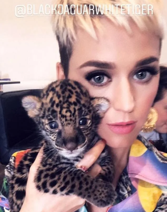 Image credit: Instagram | @katyperry