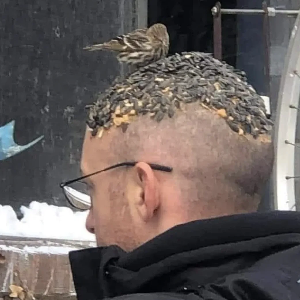Image credit: Reddit | leandr0ide