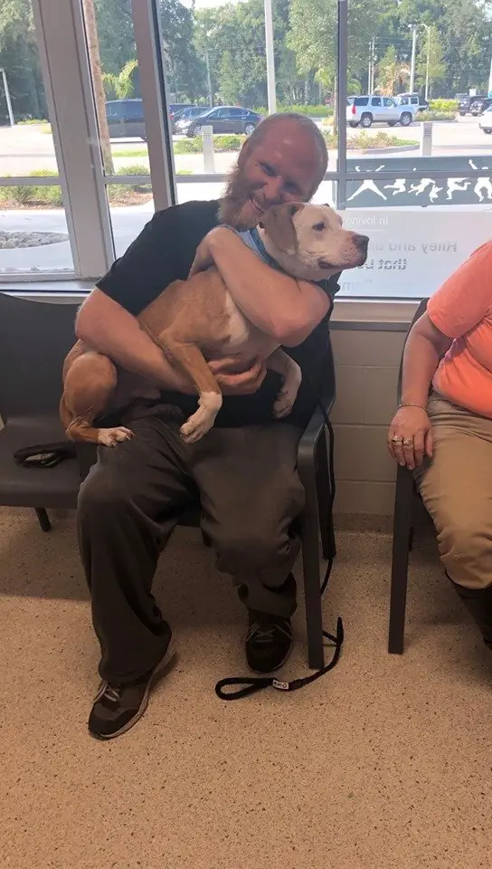 Image credit: Facebook | The Jacksonville Humane Society