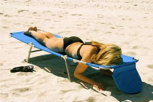 Image credit: Ostrich Lounge Chaise