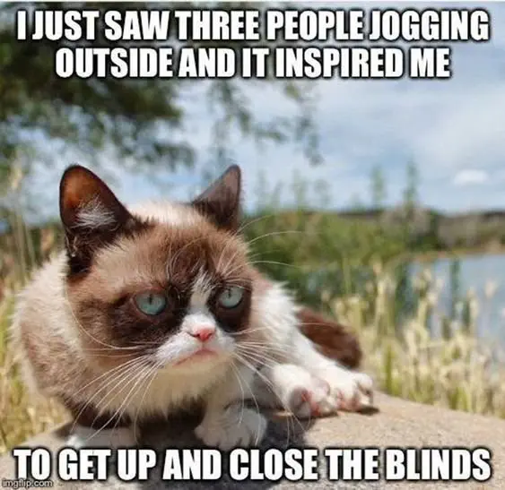 Image credit: Pinterest