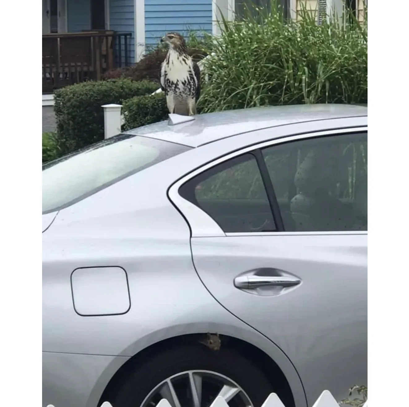 Image credit: Reddit | vacattack