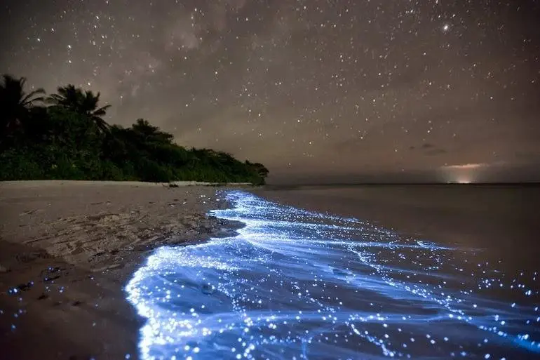Image credit: Reddit | jpurvisturton