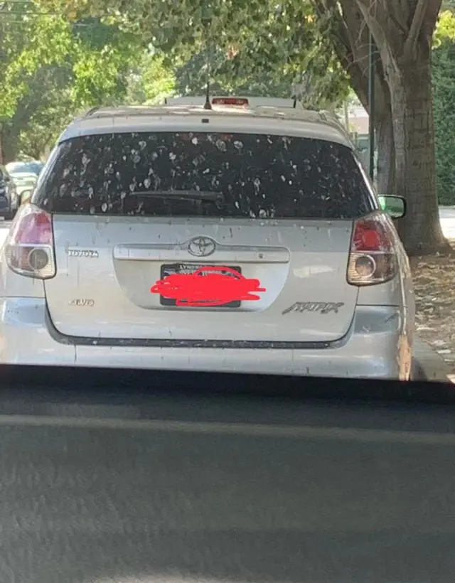Image credit: Reddit | guiltyfooled